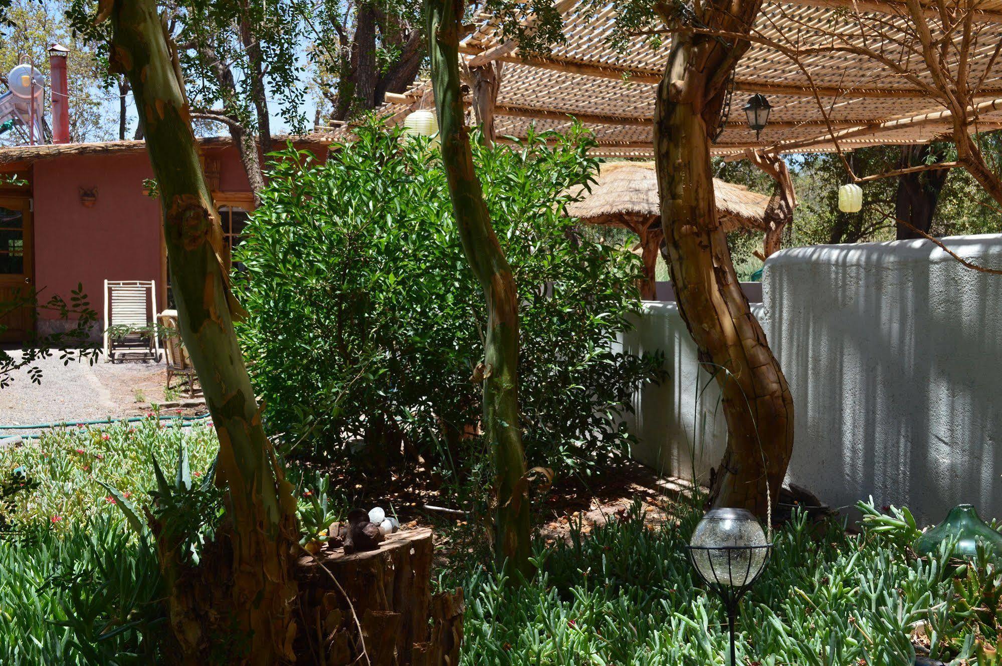 Rancho Quitapenas Bungalows San Pedro De Atacama Extérieur photo