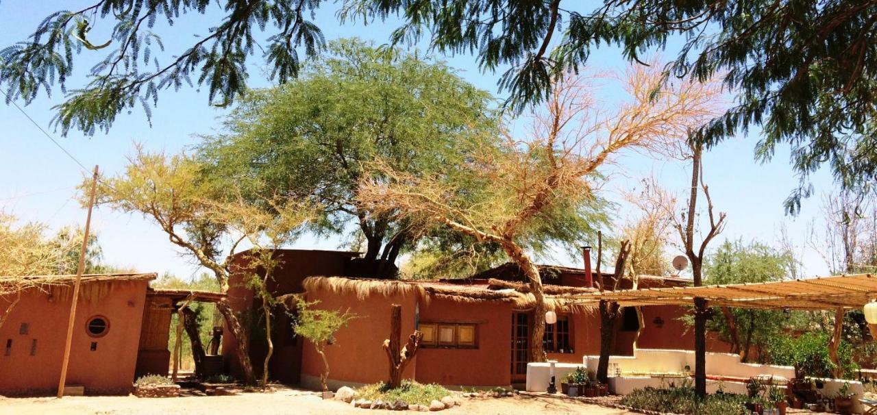 Rancho Quitapenas Bungalows San Pedro De Atacama Chambre photo